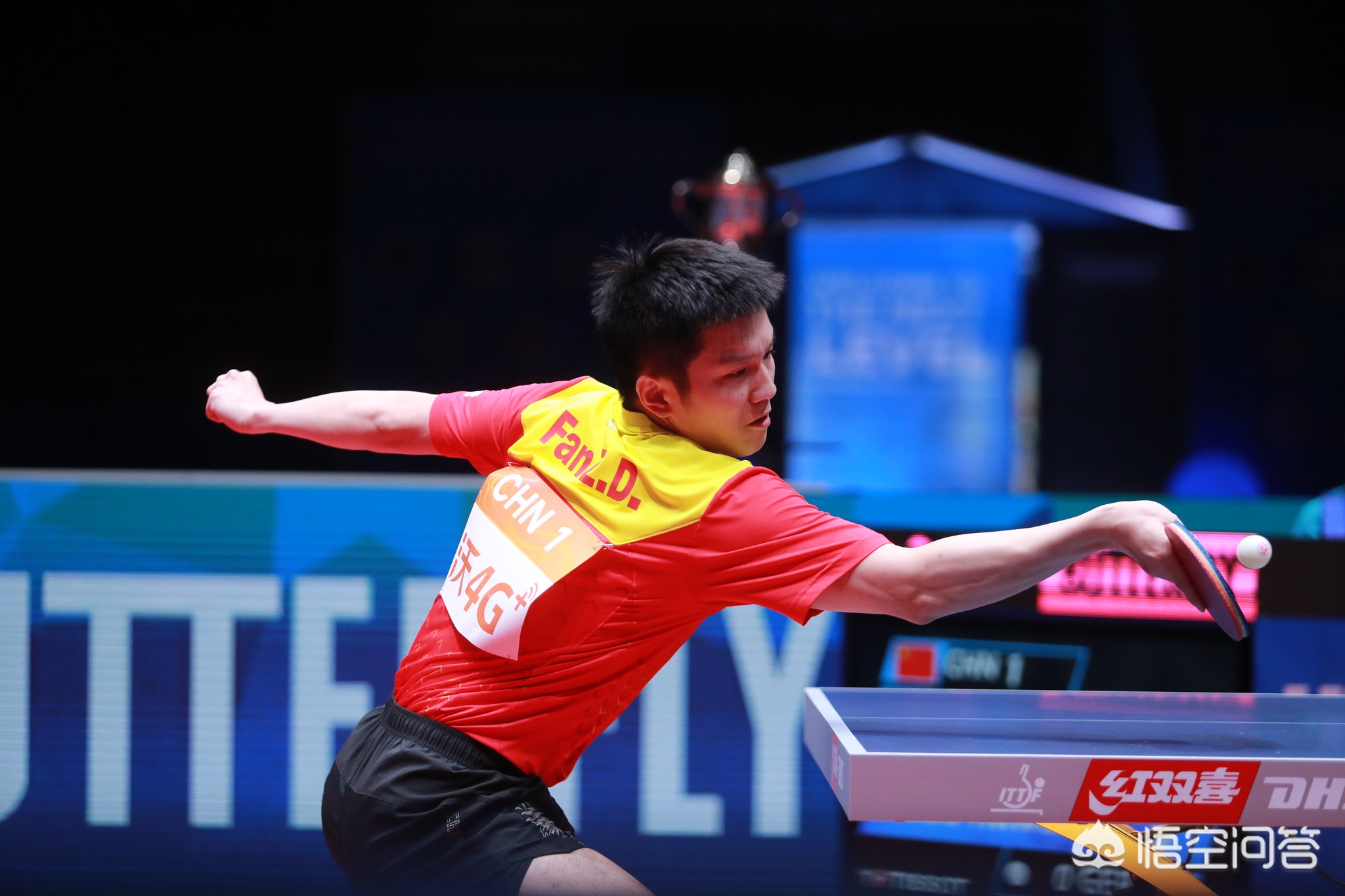 不赌奇迹 不赌奇迹